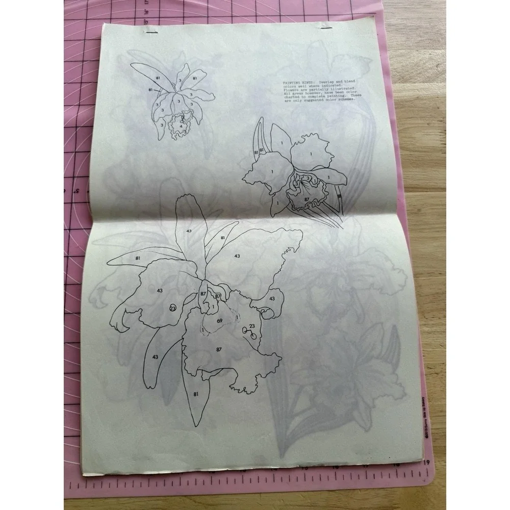 Cameo SHOWER‎ OF FLOWERS # 899 Transfer & Painting Patterns
